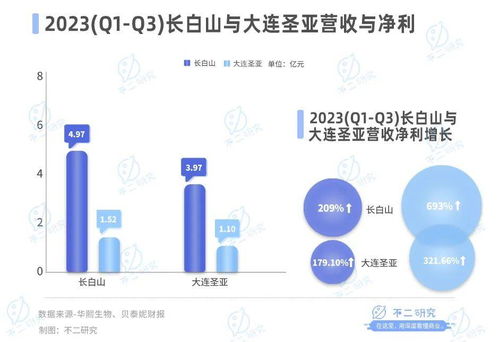 哈爾濱冰雪經濟引爆市場，上市公司掘金游樂園服務新藍海